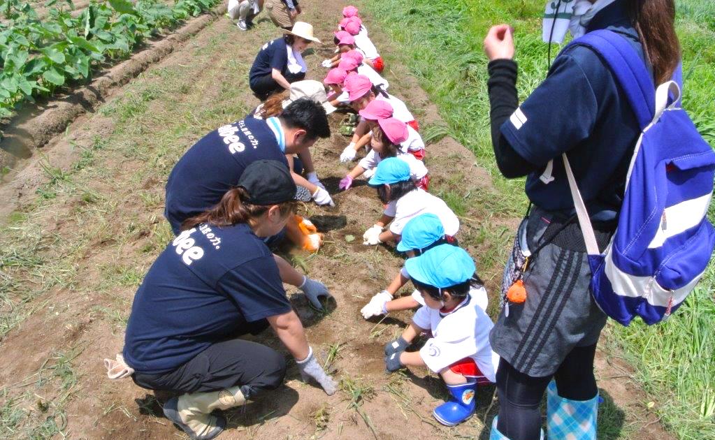 カルビー（株）が取り組む「じゃがいも栽培・収穫体験」7