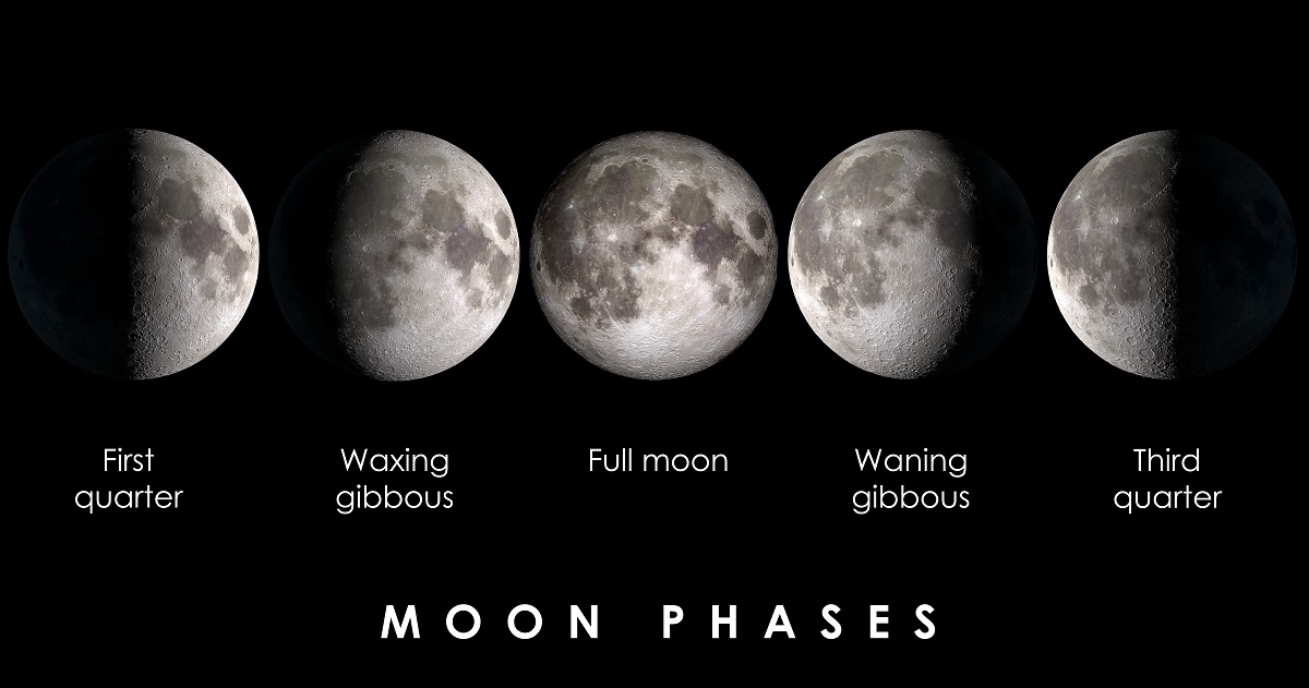 小4理科「月と星」につながる5つの学習サポート2