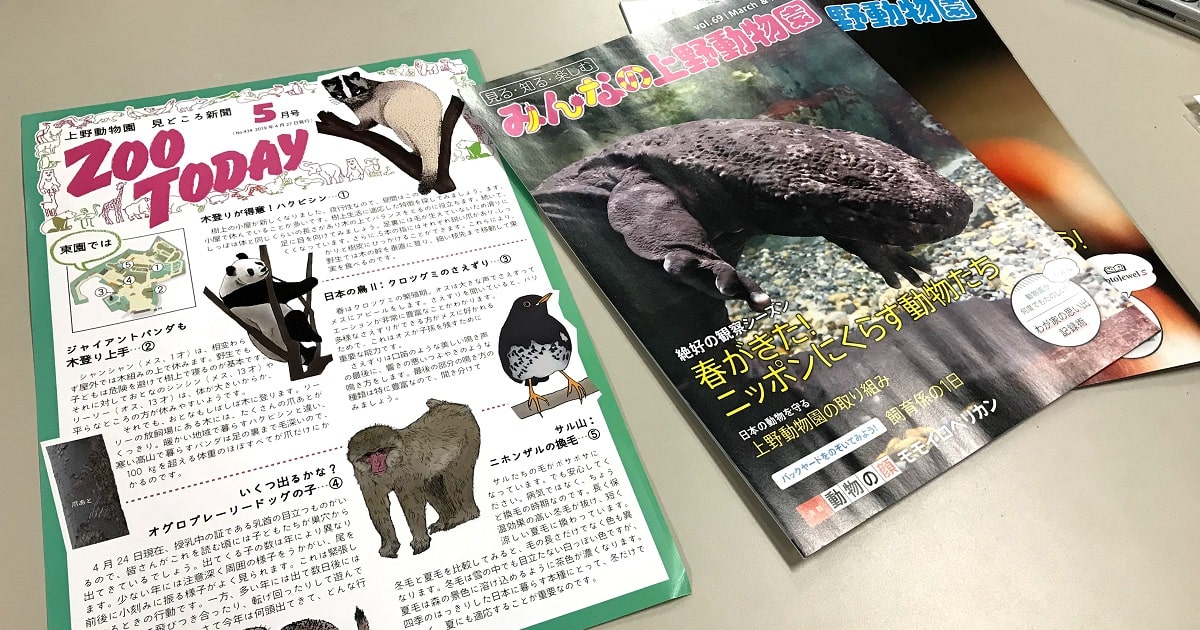 動物観察準備テク4